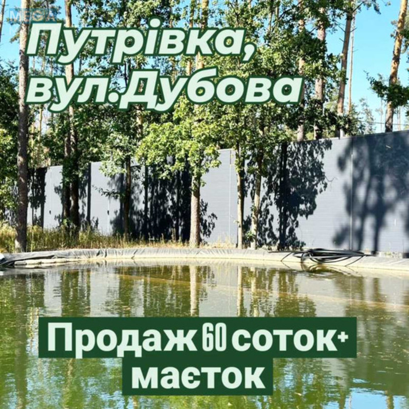 Продаж дома, 1 поверх, 279 кв.м, 6 кімнат, ділянка 60 соток, <a class="location-link" href="/kiev/" title="Недвижимость Київ">Київ</a>, <a class="location-link" href="/kiev/pecherskij/" title="Недвижимость Печерський район">Печерський р-н</a>, Дубенська вул. (изображение 11)