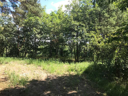 Продажа участка, 45&nbsp;соток, земля сельскохозяйственного назначения, <a class="location-link" href="/lebedevka-selo-kv-vyshgorodskij-rajon/" title="Недвижимость Лебедівка">Лебедівка</a>, Лісна (изображение 2)