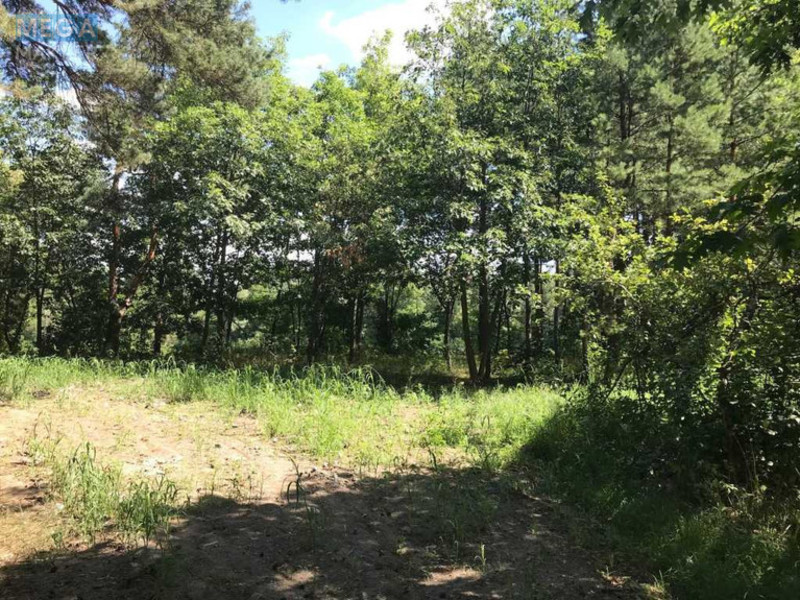 Продажа участка, 45 соток, земля сельскохозяйственного назначения, <a class="location-link" href="/lebedevka-selo-kv-vyshgorodskij-rajon/" title="Недвижимость Лебедівка">Лебедівка</a>, Лісна (изображение 2)