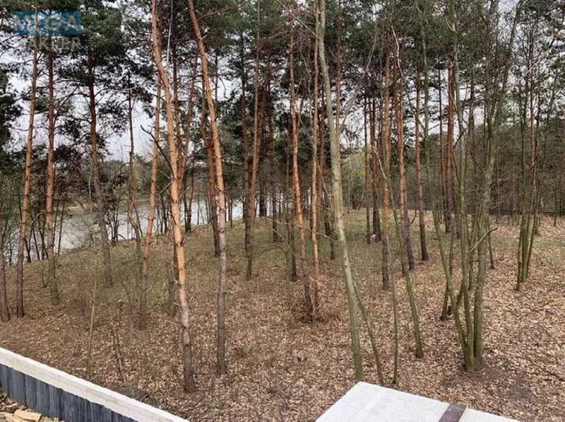 Продажа участка, 45 соток, земля сельскохозяйственного назначения, <a class="location-link" href="/lebedevka-selo-kv-vyshgorodskij-rajon/" title="Недвижимость Лебедівка">Лебедівка</a>, Лісна (изображение 4)