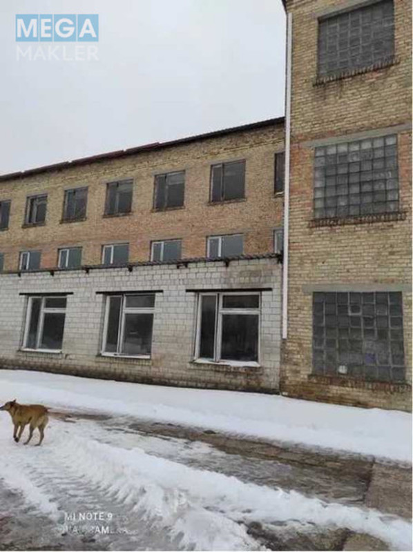 Продаж комплексу будівель та споруд, 7 150 кв.м, под производство, <a class="location-link" href="/borodyanka/" title="Недвижимость Бородянка">Бородянка</a>, заводська, 45 (изображение 5)