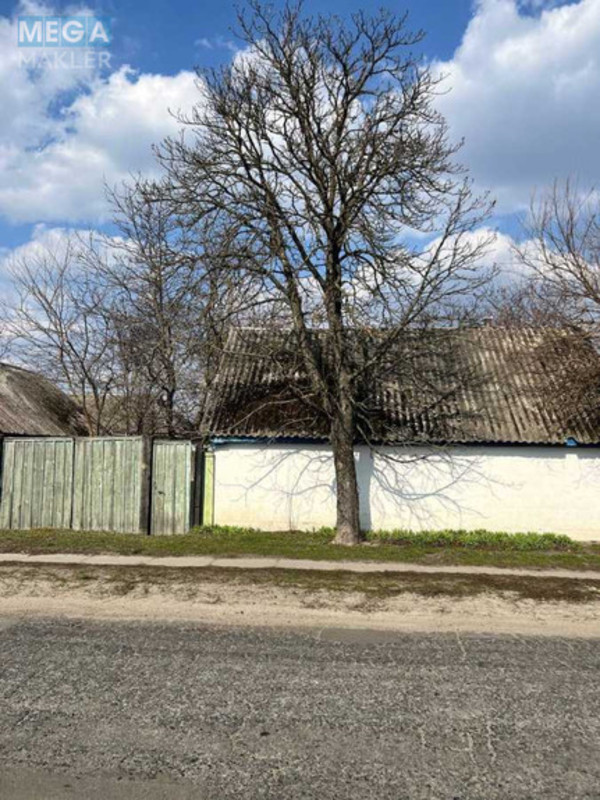 Продаж дома, 1 поверх, 60 кв.м, 2 кімнати, ділянка 47 соток, <a class="location-link" href="/bogdanovka-selo-kv-brovarskij-rajon/" title="Недвижимость Богданівка">Богданівка</a>, Богдана Хмельницького (изображение 5)