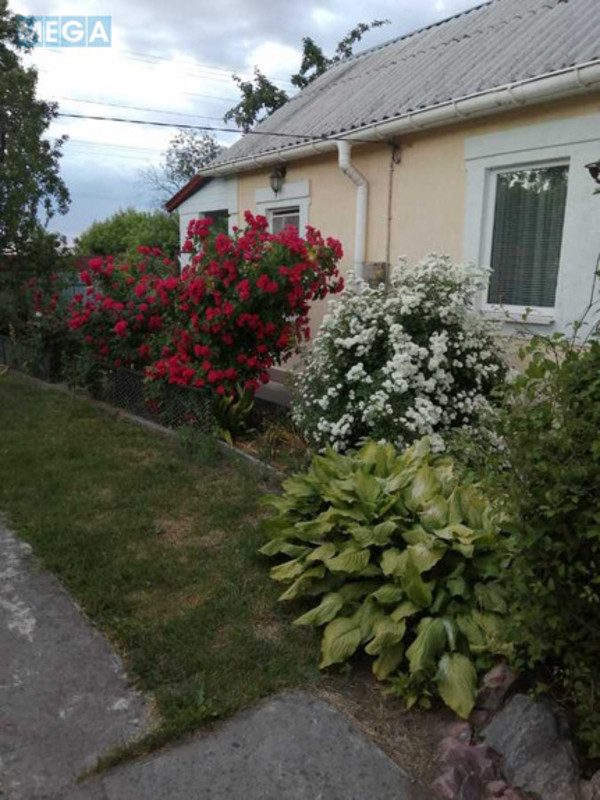 Оренда дома, <a class="location-link" href="/ivanovka-selo-kv-boguslavskij-rajon/" title="Недвижимость Іванівка">Іванівка</a>, Центральна (изображение 4)