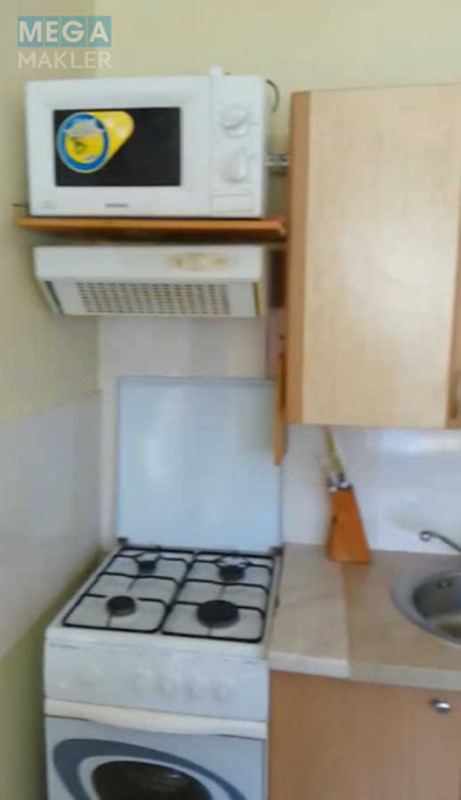 Оренда дома, <a class="location-link" href="/ivanovka-selo-kv-boguslavskij-rajon/" title="Недвижимость Іванівка">Іванівка</a>, Центральна (изображение 10)