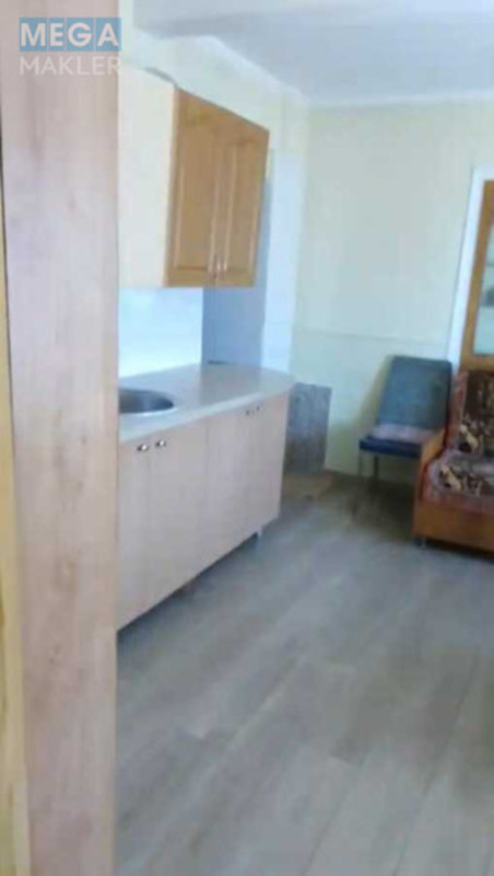 Оренда дома, <a class="location-link" href="/ivanovka-selo-kv-boguslavskij-rajon/" title="Недвижимость Іванівка">Іванівка</a>, Центральна (изображение 11)