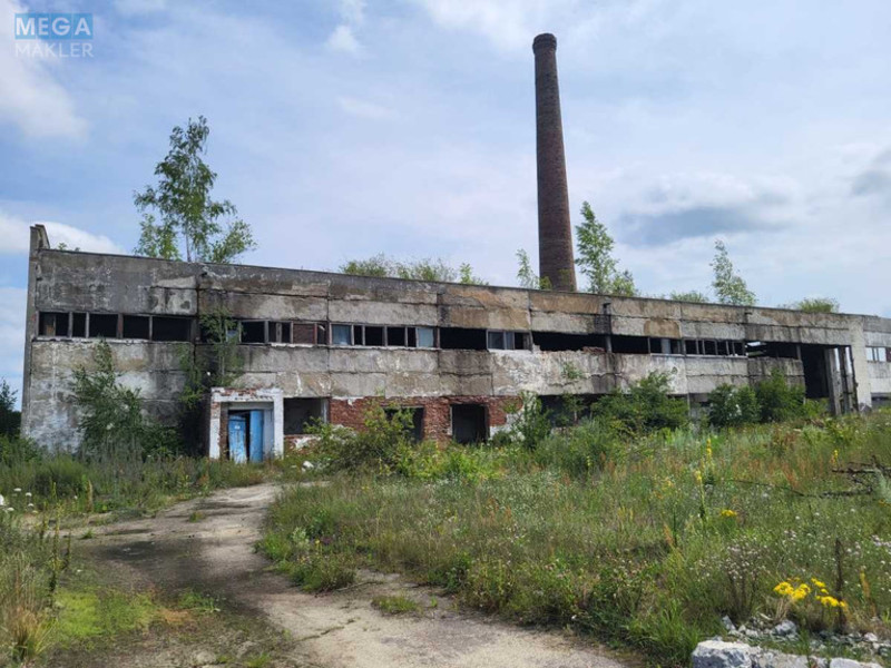Продаж окремої будівлі/побудови, 19 820,20 кв.м, <a class="location-link" href="/sarny/" title="Недвижимость Сарні">Сарни</a>, Соборна, 112 (изображение 6)