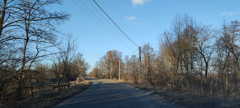Продажа участка, 99 соток, земля сельскохозяйственного назначения, <a class="location-link" href="/soshnikov/" title="Недвижимость Сошників">Сошників</a>, Сошниківська с/р (изображение 4)
