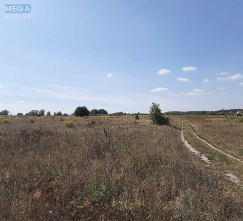 Продажа участка, 800 соток, земля сельскохозяйственного назначения, <a class="location-link" href="/ivankov-selo-kv/" title="Недвижимость Іванків">Іванків</a>, Іванків (изображение 2)