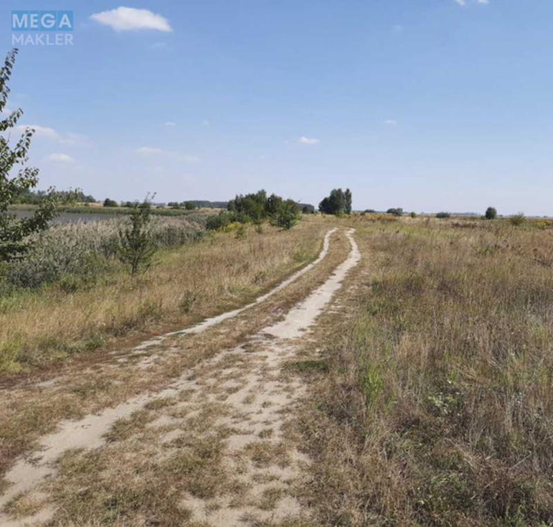 Продажа участка, 800 соток, земля сельскохозяйственного назначения, <a class="location-link" href="/ivankov-selo-kv/" title="Недвижимость Іванків">Іванків</a>, Іванків (изображение 3)