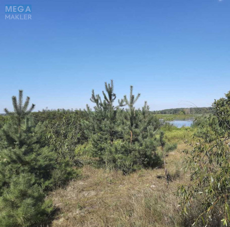 Продажа участка, 200 соток, земля сельскохозяйственного назначения, <a class="location-link" href="/golovurov/" title="Недвижимость Головурів">Головурів</a>, Головурів (изображение 4)