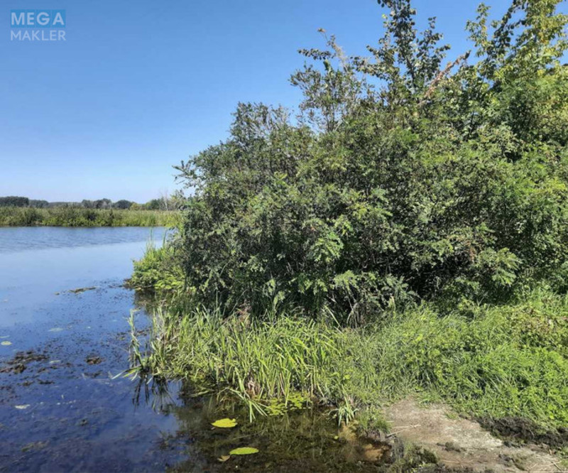 Продажа участка, 156 соток, земля сельскохозяйственного назначения, <a class="location-link" href="/golovurov/" title="Недвижимость Головурів">Головурів</a>, Головурів (изображение 5)