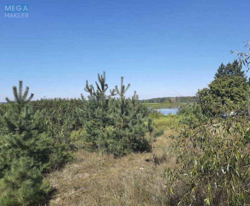 Продажа участка, 156 соток, земля сельскохозяйственного назначения, <a class="location-link" href="/golovurov/" title="Недвижимость Головурів">Головурів</a>, Головурів (изображение 6)