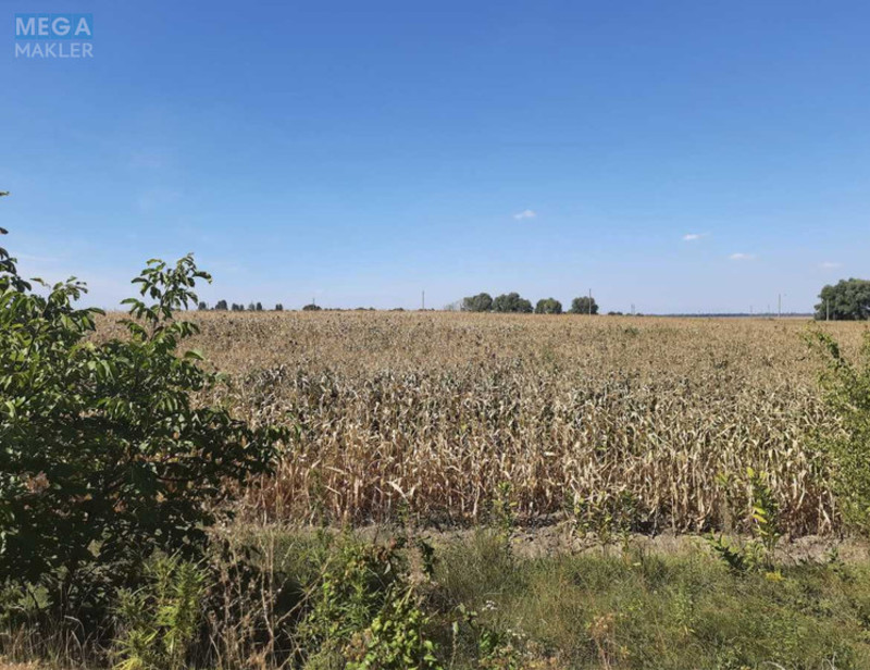 Продажа участка, 10 соток, земля сельскохозяйственного назначения, <a class="location-link" href="/glubokoe-selo-kv/" title="Недвижимость Глибоке">Глибоке</a>, Глубокое (изображение 2)