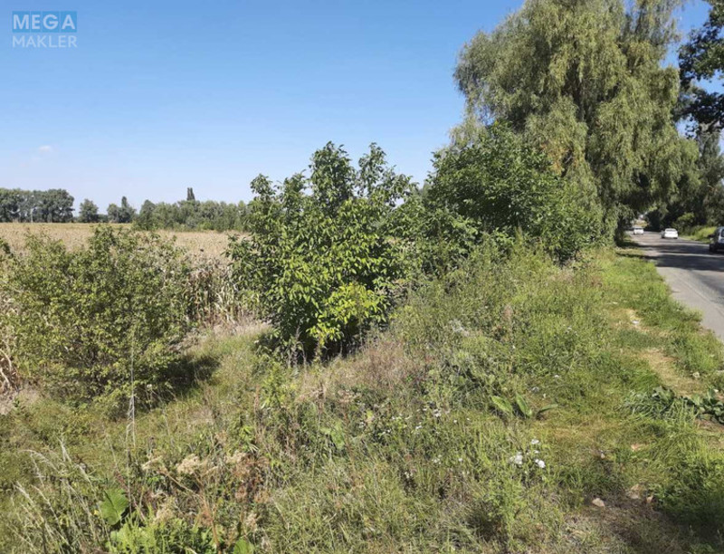 Продажа участка, 10 соток, земля сельскохозяйственного назначения, <a class="location-link" href="/glubokoe-selo-kv/" title="Недвижимость Глибоке">Глибоке</a>, Глубокое (изображение 3)