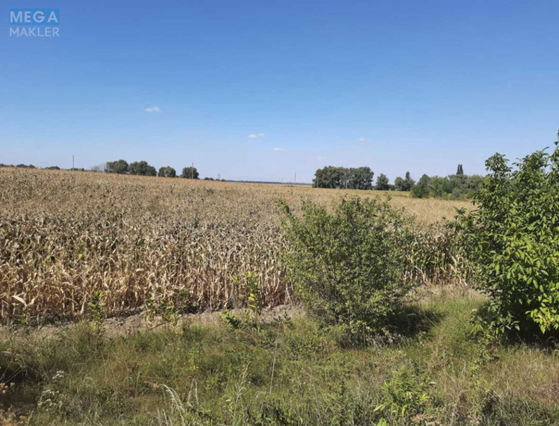 Продажа участка, 10 соток, земля сельскохозяйственного назначения, <a class="location-link" href="/glubokoe-selo-kv/" title="Недвижимость Глибоке">Глибоке</a>, Глубокое (изображение 4)