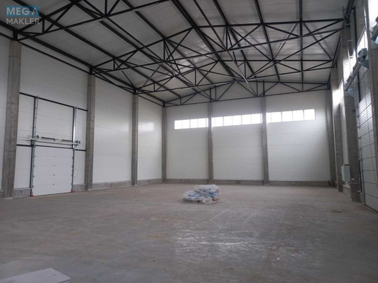 Продаж комплексу будівель та споруд, 1&nbsp;200&nbsp;кв.м, под производство, <a class="location-link" href="/petrovskoe-selo-kv-kievo-svyatoshinskij-rajon/" title="Недвижимость Петрівське">Петрівське</a>, Белогородская (изображение 2)