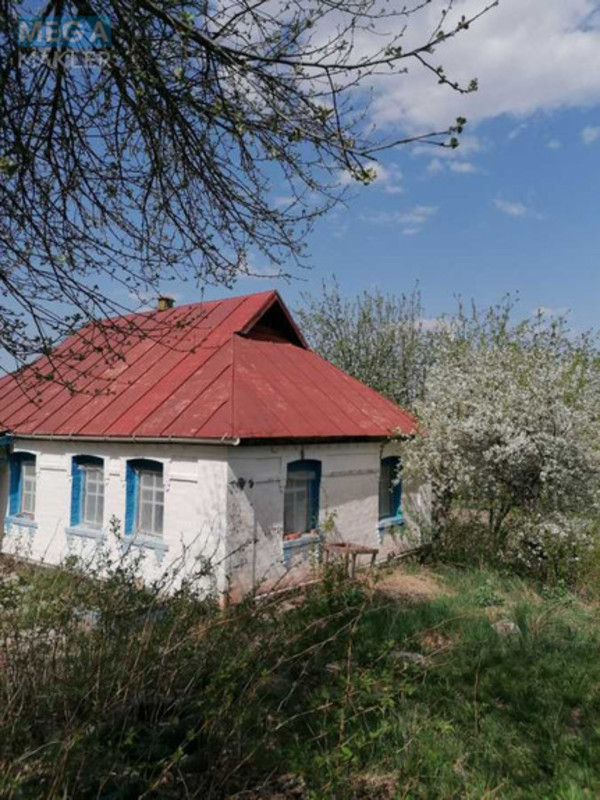 Продаж дома, 1 поверх, 52 кв.м, 2 кімнати, ділянка 30 соток, <a class="location-link" href="/chernin-selo/" title="Недвижимость Чернін">Чернин</a>, Попівка (изображение 5)