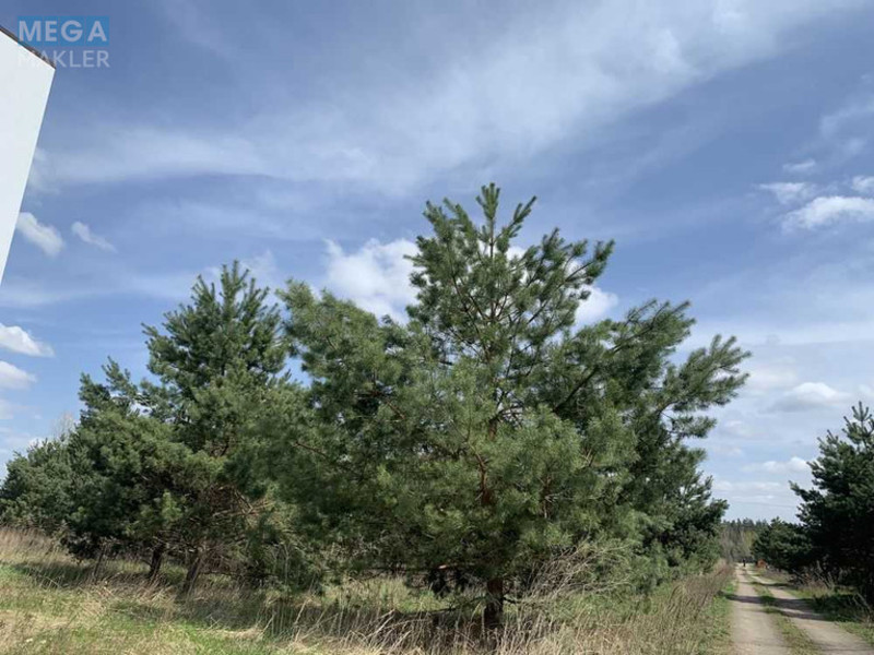 Продажа участка, 16&nbsp;соток, земля рекреационного назначения, <a class="location-link" href="/yasnogorodka-selo/" title="Недвижимость Ясногородка">Ясногородка</a>, Східна (изображение 8)