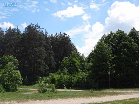 Продажа участка, 16&nbsp;соток, земля рекреационного назначения, <a class="location-link" href="/yasnogorodka-selo/" title="Недвижимость Ясногородка">Ясногородка</a>, Східна (изображение 15)
