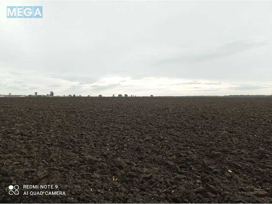 Продажа участка, 181,86&nbsp;сотка, земля сельскохозяйственного назначения, <a class="location-link" href="/grigorovka-selo-km/" title="Недвижимость Григорівка">Григорівка</a>, Нова (изображение 5)