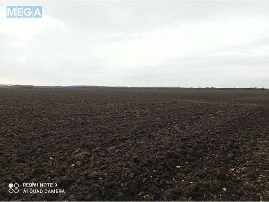 Продажа участка, 181,86&nbsp;сотка, земля сельскохозяйственного назначения, <a class="location-link" href="/grigorovka-selo-km/" title="Недвижимость Григорівка">Григорівка</a>, Нова (изображение 6)