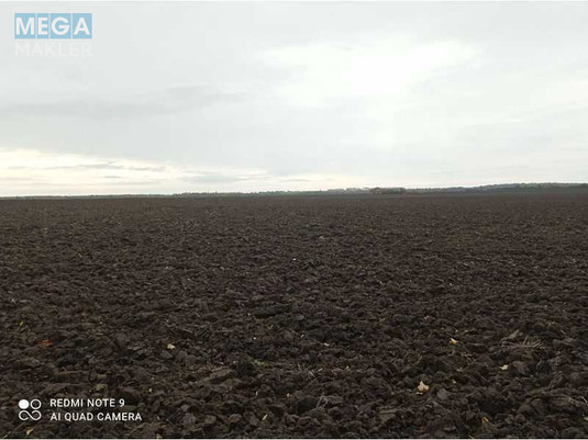 Продажа участка, 181,86&nbsp;сотка, земля сельскохозяйственного назначения, <a class="location-link" href="/grigorovka-selo-km/" title="Недвижимость Григорівка">Григорівка</a>, Нова (изображение 9)