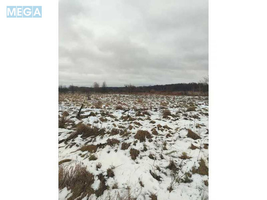 Продажа участка, 12&nbsp;соток, земля сельскохозяйственного назначения, <a class="location-link" href="/soshnikov/" title="Недвижимость Сошників">Сошників</a>, Нова (изображение 2)