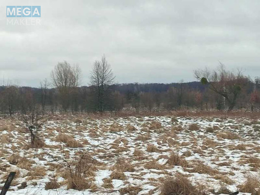 Продажа участка, 12&nbsp;соток, земля сельскохозяйственного назначения, <a class="location-link" href="/soshnikov/" title="Недвижимость Сошників">Сошників</a>, Нова (изображение 5)