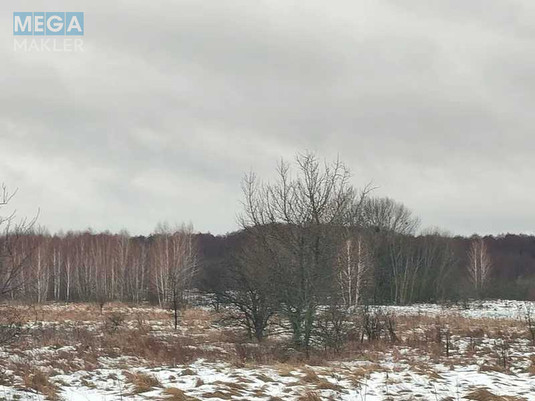 Продажа участка, 12&nbsp;соток, земля сельскохозяйственного назначения, <a class="location-link" href="/soshnikov/" title="Недвижимость Сошників">Сошників</a>, Нова (изображение 7)