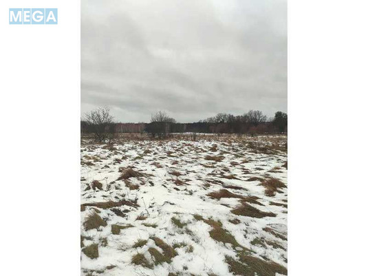 Продажа участка, 12&nbsp;соток, земля сельскохозяйственного назначения, <a class="location-link" href="/soshnikov/" title="Недвижимость Сошників">Сошників</a>, Нова (изображение 9)