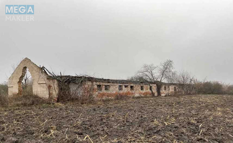 Продаж комплексу будівель та споруд, 1 784,60 кв.м, под производство, <a class="location-link" href="/sary/" title="Недвижимость Сарі">Сари</a>, Київська, 4 (изображение 2)