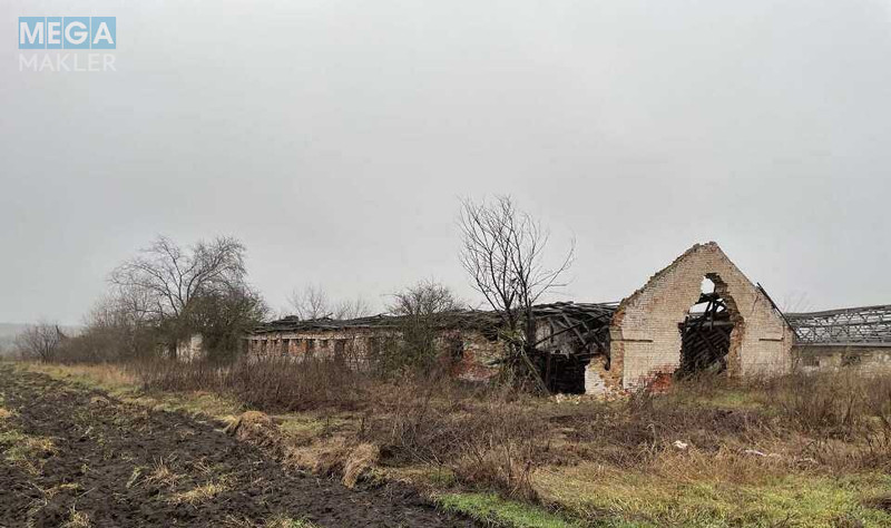 Продаж комплексу будівель та споруд, 1 784,60 кв.м, под производство, <a class="location-link" href="/sary/" title="Недвижимость Сарі">Сари</a>, Київська, 4 (изображение 3)