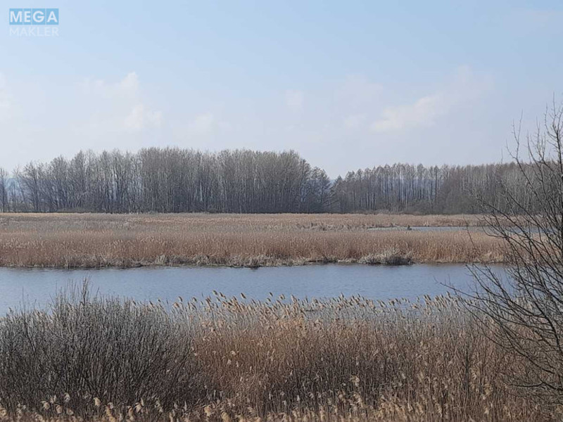Продажа участка, 200 соток, земля сельскохозяйственного назначения, <a class="location-link" href="/golovurov/" title="Недвижимость Головурів">Головурів</a>, Головурівський с/о (изображение 4)
