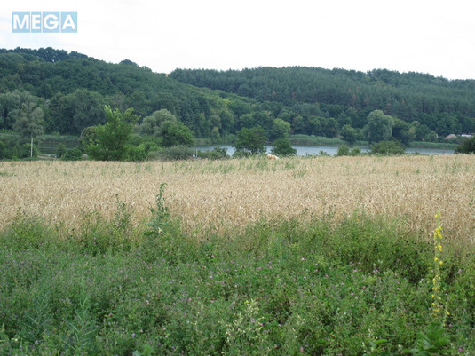 Продаж дома, 1&nbsp; поверх, 75&nbsp;кв.м, 6&nbsp;кімнат, нормальне сост., ділянка 61&nbsp;сотка, <a class="location-link" href="/valyava/" title="Недвижимость Валява">Валява</a> (изображение 23)