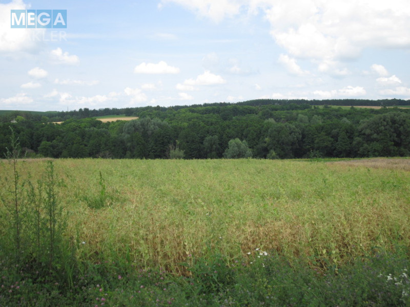 Продаж дома, 1&nbsp; поверх, 75&nbsp;кв.м, 6&nbsp;кімнат, нормальне сост., ділянка 61&nbsp;сотка, <a class="location-link" href="/valyava/" title="Недвижимость Валява">Валява</a> (изображение 24)