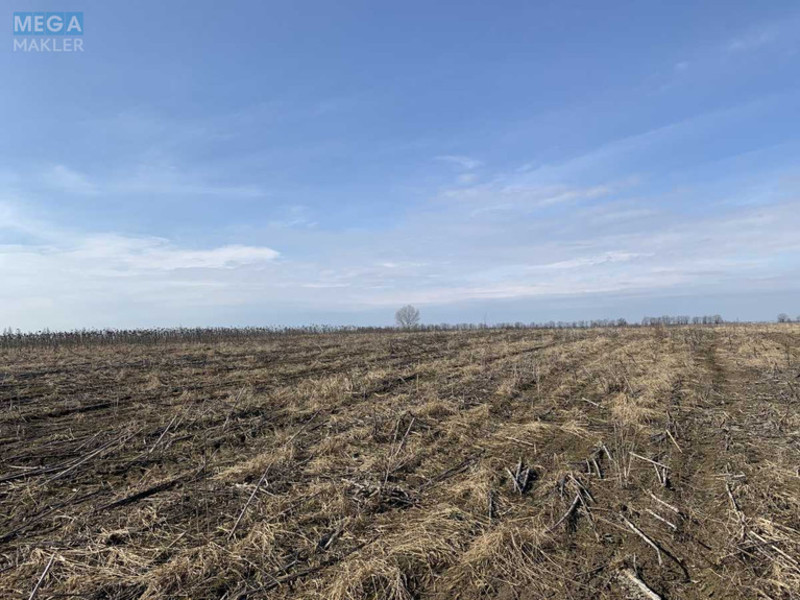 Продажа участка, 200 соток, земля сельскохозяйственного назначения, <a class="location-link" href="/glubokoe-selo-kv/" title="Недвижимость Глибоке">Глибоке</a>, Глибоцька с/р (изображение 2)