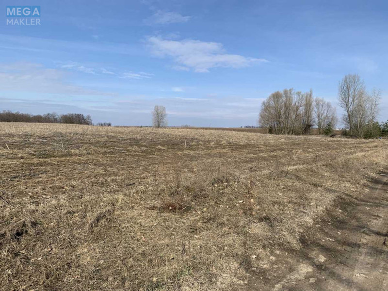 Продажа участка, 200 соток, земля сельскохозяйственного назначения, <a class="location-link" href="/glubokoe-selo-kv/" title="Недвижимость Глибоке">Глибоке</a>, Глибоцька с/р (изображение 4)