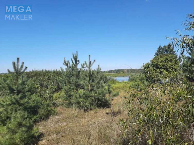 Продажа участка, 80 соток, земля сельскохозяйственного назначения, <a class="location-link" href="/golovurov/" title="Недвижимость Головурів">Головурів</a>, Головурів (изображение 2)