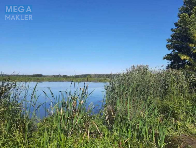 Продажа участка, 80 соток, земля сельскохозяйственного назначения, <a class="location-link" href="/golovurov/" title="Недвижимость Головурів">Головурів</a>, Головурів (изображение 3)