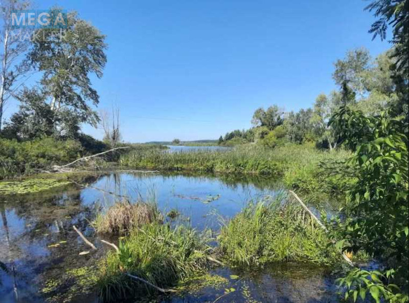 Продажа участка, 80 соток, земля сельскохозяйственного назначения, <a class="location-link" href="/golovurov/" title="Недвижимость Головурів">Головурів</a>, Головурів (изображение 4)