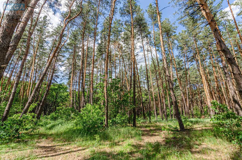 Продаж дома, 1 поверх, 43 кв.м, 2 кімнати, ділянка 15 соток, <a class="location-link" href="/nikolskoe-selo-pl/" title="Недвижимость Микільське">Микільське</a>, Центральна, 1 (изображение 5)