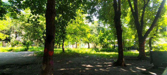 Продаж 3 кімнатної квартири (62/35/13), 6 пов. 9 пов. будинку, <a class="location-link" href="/kiev/" title="Недвижимость Київ">Київ</a>, <a class="location-link" href="/kiev/shevchenkovskij/" title="Недвижимость Шевченківський район">Шевченківський р-н</a>, Багговутівська вул., 3/15 (изображение 18)