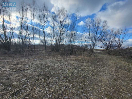 Продажа участка, 200&nbsp;соток, земля сельскохозяйственного назначения, <a class="location-link" href="/golovurov/" title="Недвижимость Головурів">Головурів</a>, с. Головурів (изображение 8)