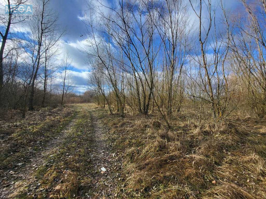 Продажа участка, 200&nbsp;соток, земля сельскохозяйственного назначения, <a class="location-link" href="/golovurov/" title="Недвижимость Головурів">Головурів</a>, с. Головурів (изображение 10)