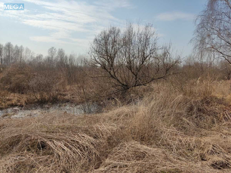 Продажа участка, 200 соток, земля сельскохозяйственного назначения, <a class="location-link" href="/staroe/" title="Недвижимость Старе">Старе</a>, Старівська с/р (изображение 4)