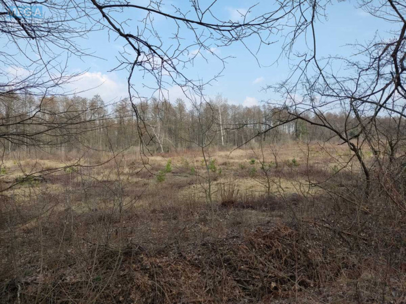 Продажа участка, 200 соток, земля сельскохозяйственного назначения, <a class="location-link" href="/staroe/" title="Недвижимость Старе">Старе</a>, Старівська с/р (изображение 5)