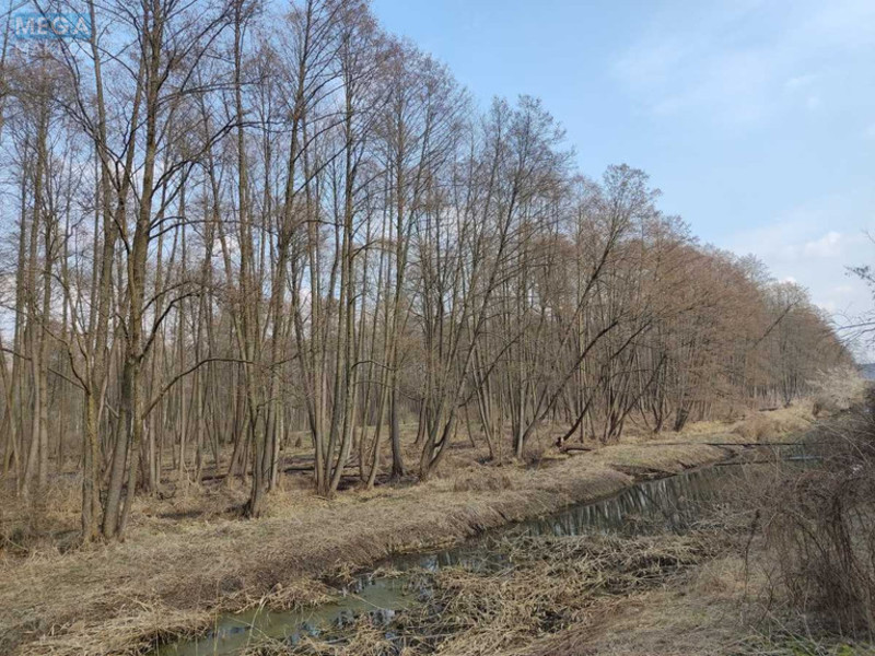Продажа участка, 200 соток, земля сельскохозяйственного назначения, <a class="location-link" href="/staroe/" title="Недвижимость Старе">Старе</a>, Старівська с/р (изображение 7)