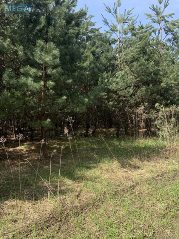 Продажа участка, 24 сотки, земля рекреационного назначения, <a class="location-link" href="/yasnogorodka-selo/" title="Недвижимость Ясногородка">Ясногородка</a>, Східна (изображение 7)