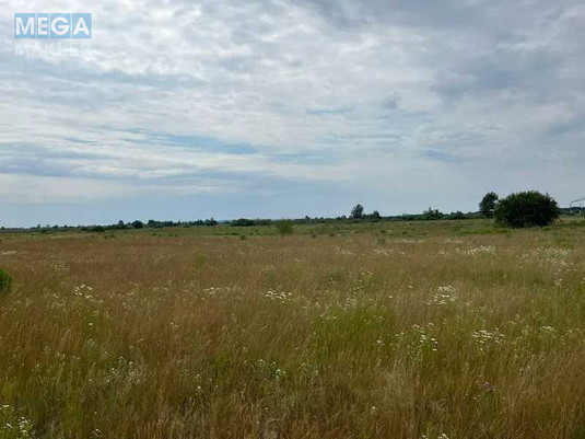 Продажа участка, 55&nbsp;соток, земля сельскохозяйственного назначения, <a class="location-link" href="/golovurov/" title="Недвижимость Головурів">Головурів</a>, село Головурів (изображение 2)