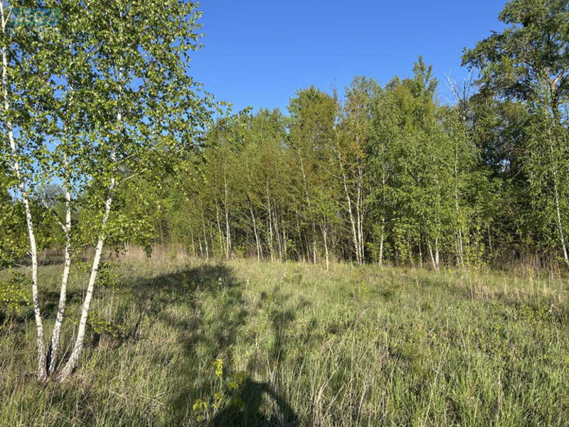 Продажа участка, 120 соток, участок под жилую застройку, <a class="location-link" href="/belogorodka-selo-kv/" title="Недвижимость Білогородка">Білогородка</a>, Альпійська (изображение 9)